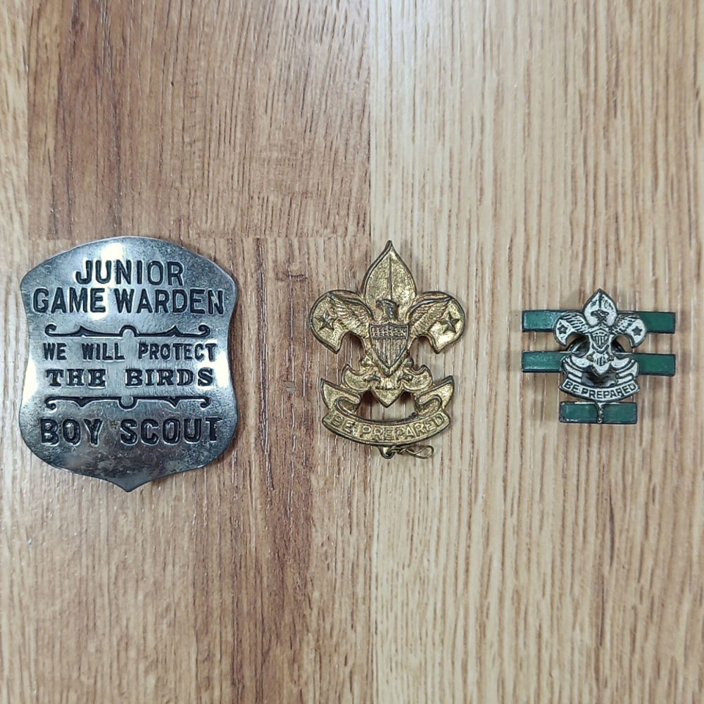 Assorted Boy Scout pins